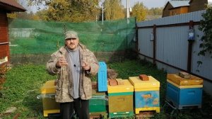 ? Полезные советы по пчеловодству для начинающих в ульях из ППС и ППУ ?