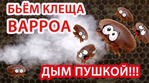 ВНИМАНИЕ ПЧЕЛОВОДЫ!!! СЕЗОН 2023 ОЧЕНЬ МНОГО КЛЕЩА!!! Обработка щавелкой с помощью дым пушки.