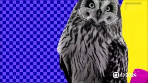 Конечная заставка блока "Ночной хит" (MusicBox, 2023-н.в.)