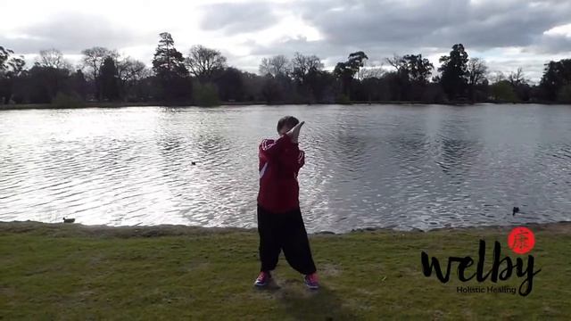 Tai Chi Qigong 18 Shibashi Set 3 太極氣功十八式 смотреть онлайн