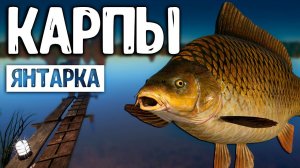 РР4/ рыбалка для души, ловим как универсал, общаемся 29.02.24