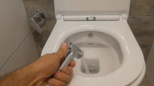 Самое классное решение с гигиеническим душем/биде