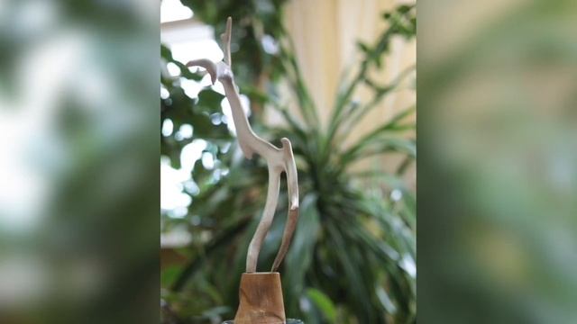 Алексей Чунанчар, мастер Таймырского Дома народного творчества.