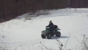 Зид 200 Тарпан