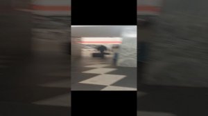 обзор после открытия станции метро Чернышевская в Питерском метро