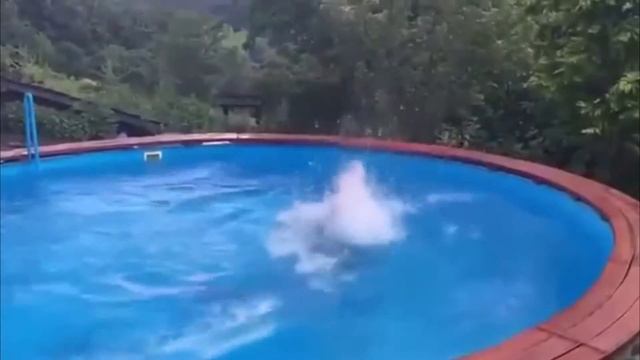 Мужское синхронное плавание Первое выступление и сразу успех смотреть онлайн