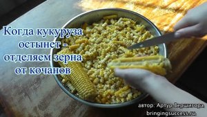 Кукуруза для салатов, почти как консервированная кукуруза в банках из магазинов