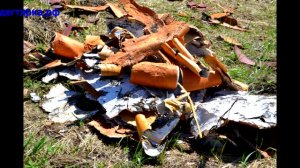 "Вытяжка березовая". Лечение народными средствами. Народная медицина.