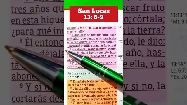 #audiobiblia #lecturabíblica #videocristiano #videoscristianos San Lucas 13:6-9. parábola higuera