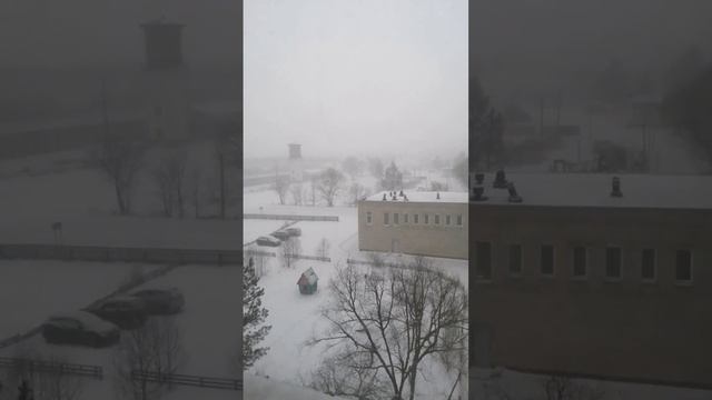 11.03.23 Амурская обл. март такой март))❄️🌨️❄️#снег #март #снегопад