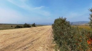 Источники Иволгинского района. Бурятия. Часть 1