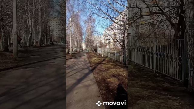 Хроника погоды на 08.04.22