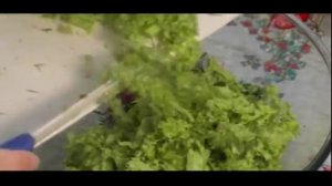 Салат из фасоли БЫСТРО ВКУСНО И НЕДОРОГО!/Вкусные рецепты простых салатов/Salad