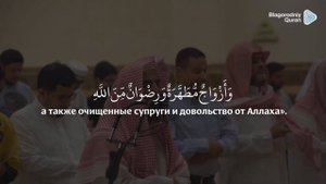 Мухаммад Аль Люхайдан | сура 3 «Алю Имран» , аяты 14-18