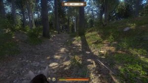 Kingdom Come Deliverance - Прохождение =9= Сокровища Скалицы