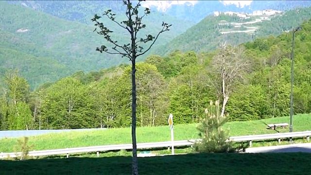 Красная Поляна видео обзор смотреть онлайн