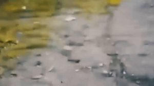 5 МУТАНТОВ ИЗ ЧЕРНОБЫЛЯ СНЯТЫХ НА КАМЕРУ