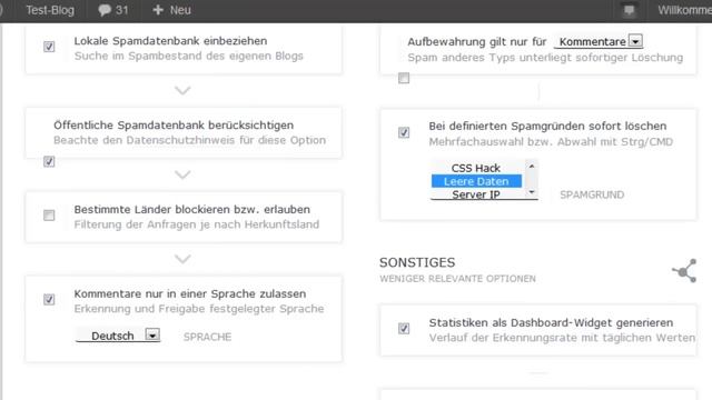 WordPress: Antispam Bee richtig einstellen und Spam minimieren смотреть онлайн
