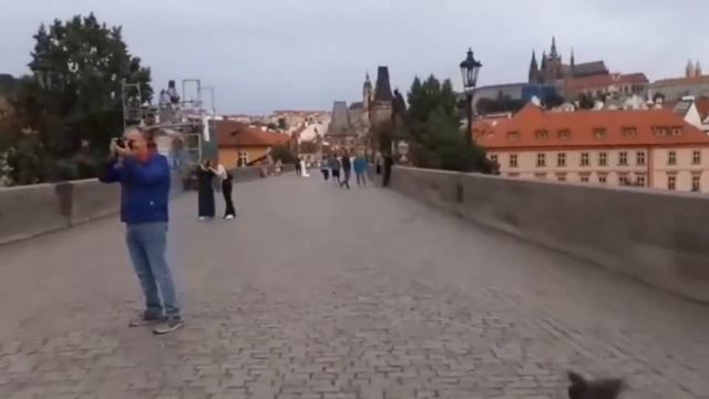 Карлов мост Прага Чехия; Karlův most, The Charles Bridge смотреть онлайн