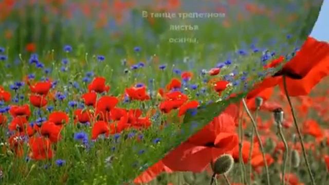 Отцвели в поле красные маки. смотреть онлайн