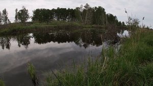 Летняя рыбалка. Ловля щуки!  Зрелищная рыбалка! Щука на воблеры и на неогрузку. Рыбалка2020.