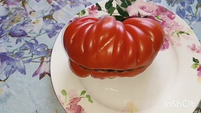 НЕВЕРОЯТНЫЕ ТОМАТЫ. ДЕГУСТАЦИЯ САМЫХ ВКУСНЫХ И ВОСХИТИТЕЛЬНЫХ ТОМАТОВ??Ростов