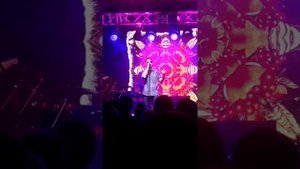 Ляпис 98 в зелёном, Одесса 2019 "яблони"