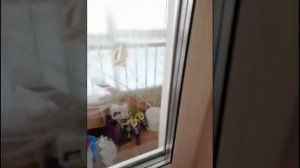 Как клеить снежинки на окна?