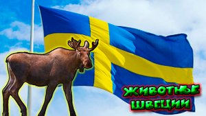 Животные Швеции