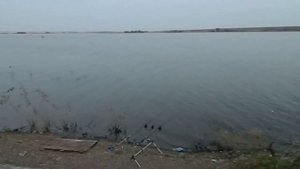 Ириклинское водохранилище. За Соленой Балкой.mp4
