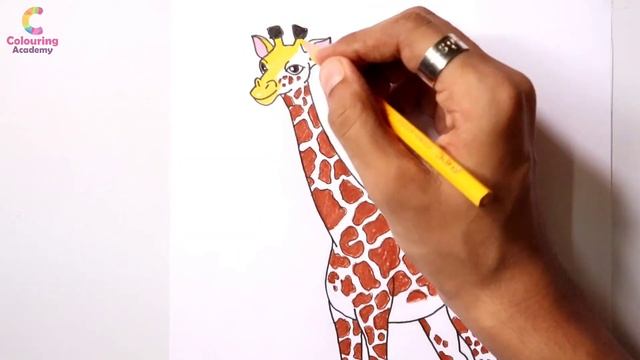 Giraffe coloring pages | colouring animals page | Animals Colour pages for kids смотреть онлайн