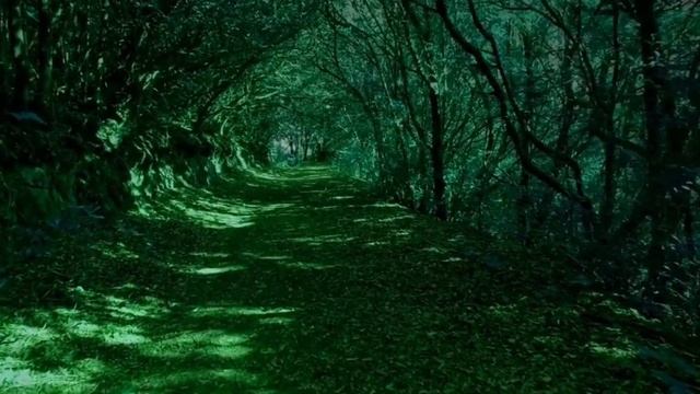 ГИПНОЗ! Медитация Для Исцеления Внутренних Органов и Всего Тела! смотреть онлайн