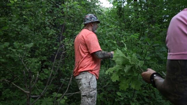 Быстро и правильно собираем свежие веники для бани. смотреть онлайн