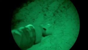 тактический фонарь Petzl Strix