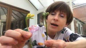 Пальчиковая гимнастика для детей 2-3 лет. ЦВЕТОК. Пальчиковые игры. Мелкая моторика для детей.