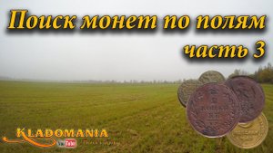 Поиск монет по полям часть 3. Поиск по старине. Полушка Анны Иоанновны