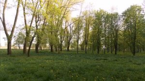 Парк Победы и озеро в Костюковке