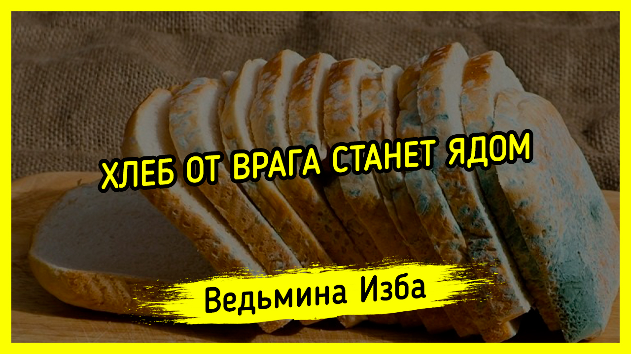 Читать любовь твоя стала ядом турана. Магия хлеб.