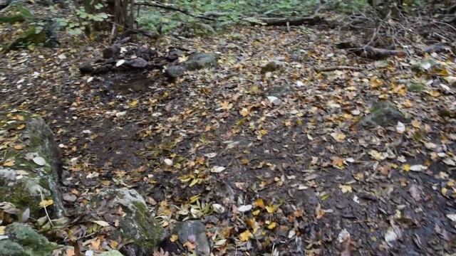 Родник в овраге Исар Алтын Дере смотреть онлайн