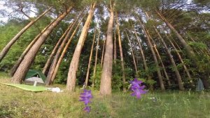 Поездка в деревню "Пятница" Истринское водохранилище