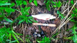 #334 #Мормышинг на речке в парке