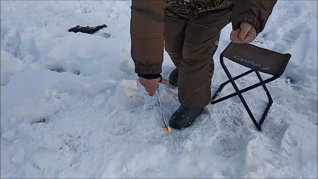 Поимки форели на актив после запуска. Верхний пруд. Клёвое место лосины остров. смотреть онлайн