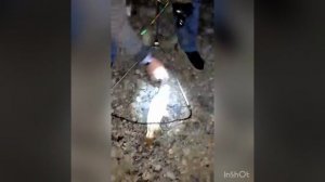 Рыбалка Ингушетия г Карабулак