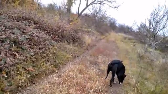 #ЕЙСК, #ДАЧИ Неужели плесень.?! Держитесь крепче за поручни! Дешевле не нашла. смотреть онлайн