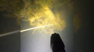 Подводная Охота Краснодар .
