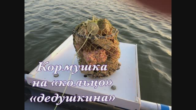 #Кормушканакольцо (дедушкина).