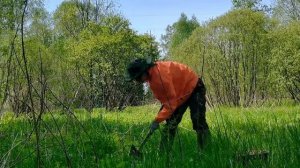 Часть 3.  В лесу сажаю картошку