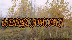 Осенняя зарисовка