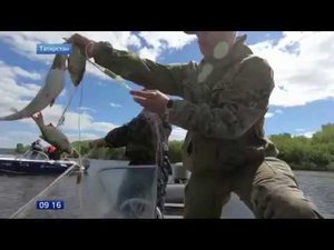 По всей России прошла экологическая акция «День без сетей»
