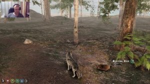 The WILDS Выживаем за Волка #1